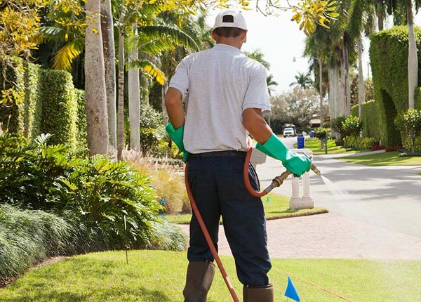 About Whitehall WI Pest Control